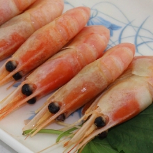 诺斯卡加拿大北极甜虾(500克左右/袋*3)
